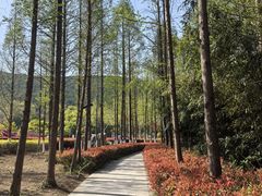 -云龙湖旅游景区