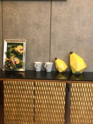 -金芙美月子中心(财富别墅店)