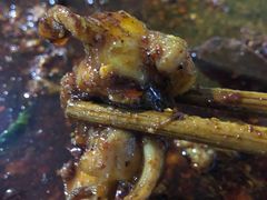 -温江公平红烧兔(总店)