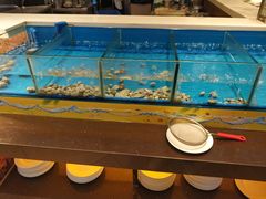 水产区-火舞泰·泰式海鲜火锅餐厅(世纪城店)