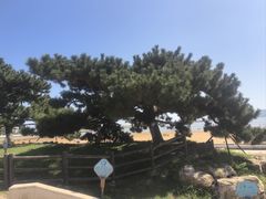 -在海一方公园
