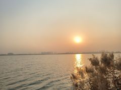 -天津东丽湖风景区