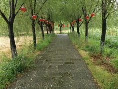 -长兴太湖图影湿地文化园