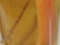 -粤小煲鲜汤猪肚鸡(丹尼斯二天地店)