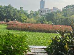-深圳龙潭公园