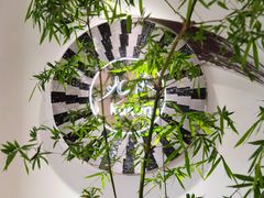 -九献创意菜·牛排馆(亮马河花园店)