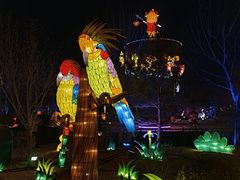 -南宫五洲植物乐园