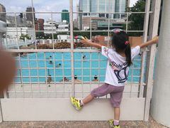 -九龙公园