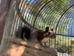 -萌宠亲子动物乐园(槐房万达店)