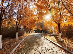 -长春世界雕塑园冰雪艺术天地