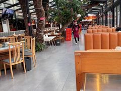 -海岛八号龙虾烧烤田鸡(蓝天路总店)