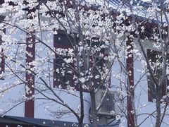 -堤角公园
