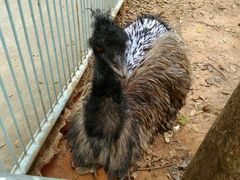 -广东茂名森林公园