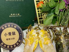 -喜聚薈·花膠雞海鮮火鍋(越秀店)
