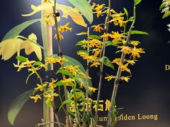 -北京植物园-展览温室