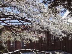 -庐山风景名胜区