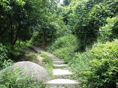 -火炉山森林公园