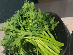 -顺德公广东猪肚鸡·煲仔饭(白石洲店)