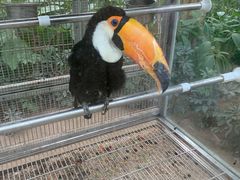 -南宫五洲植物乐园