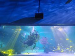 -常州海昌海洋探索馆
