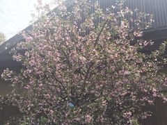-品渔味湖鲜馆(拈花湾店)