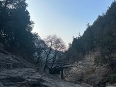 -佛慧山