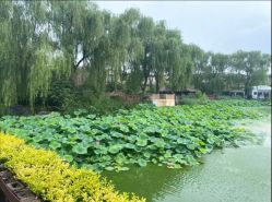 -芙蓉花月子会所(朝阳区店)