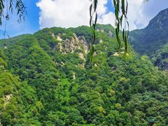 -秦岭终南山世界地质公园翠华山景区