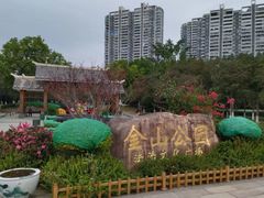 -金山公园