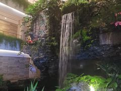 -广州白天鹅宾馆