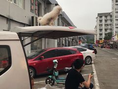 -鸡柳大人(宁大店)