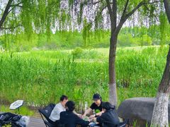 -长田漾湿地公园