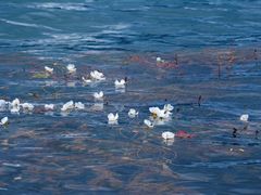 -丽江泸沽湖景区