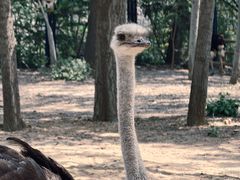 -大连森林动物园