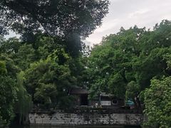 -柳侯公园