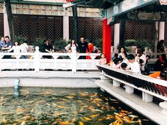 -广东圆玄道观