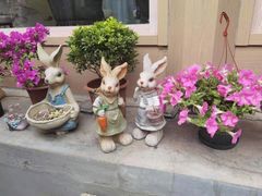 -后海16号·北京私房菜