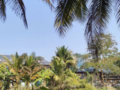 -西双版纳傣族园