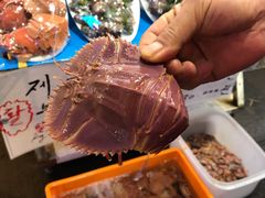 -西归浦每天偶来市场