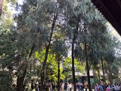 -成都武侯祠博物馆