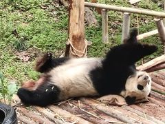 -黔灵山公园-南门售票处