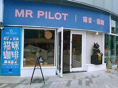门面-飞行喵MR PILOT|猫舍·猫咖(静安大融城店)