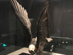 -青藏高原自然博物馆