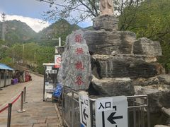 -大岭沟猕猴桃谷风景区