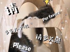 -More Fun猫咖 二十只万元加菲主题