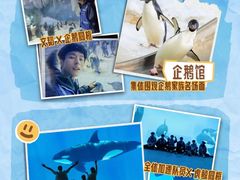 -珠海长隆海洋王国
