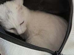 -宠颐生中康贝怡动物医院