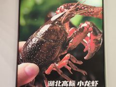 -海盗虾饭·小龙虾饭(惠多港店)