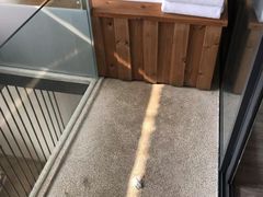 -乐领拈花溪·林涧食韵