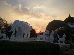 -清迈夜间动物园